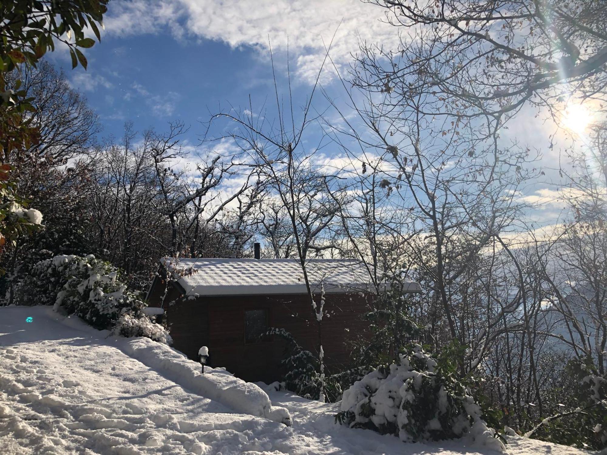 Astano "La Romantica" Rifugio Nel Bosco מראה חיצוני תמונה