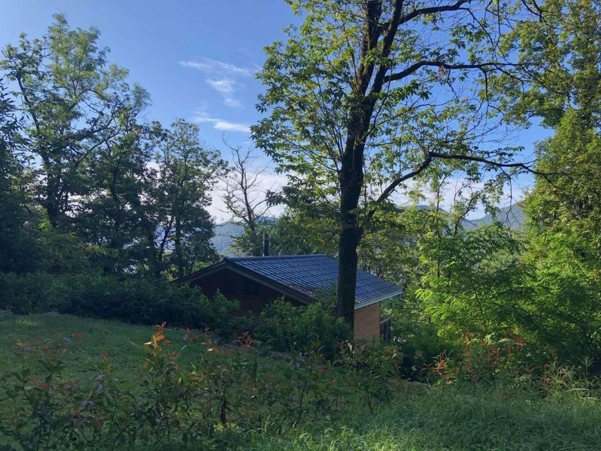 Astano "La Romantica" Rifugio Nel Bosco מראה חיצוני תמונה